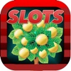 Gran Casino 3 Reel Slots - Lucky Slots Game