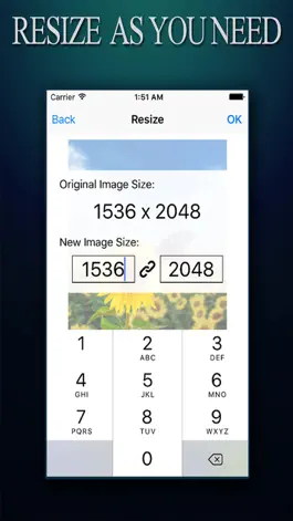 Game screenshot Image Resizer ADVANCED - Photo Resize Editor To Reshape pictures and Photos apk