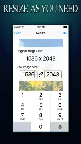 Game screenshot Image Resizer ADVANCED - Photo Resize Editor To Reshape pictures and Photos apk