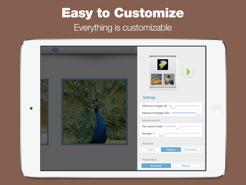 Peekaboo Sounds - Toddler Game iPad screenshot 5 - Education app