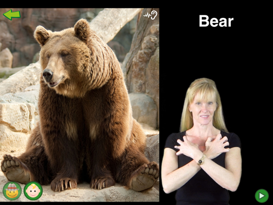 Screenshot #6 pour ASL Animals