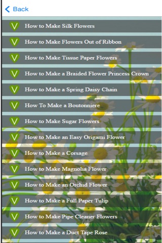 Flower Craft Ideas - Learn How to Make Easy Flowers Craft screenshot 3