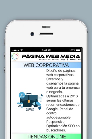 Diseño Web screenshot 3