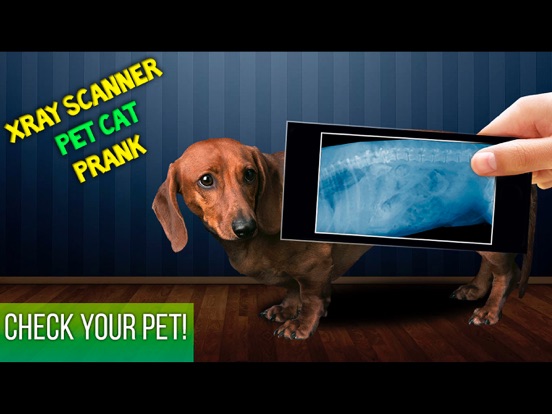 Xray Scanner Pet Cat Prank iPad screenshot 1 - Entertainment app