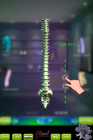 GM4L Spine Bone Game screenshot 3