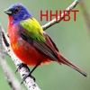 Hilton Head Island Birding Trail