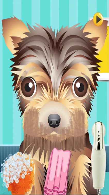 A Cute Puppy Shave Salon - eXtreme Makeover Spa Games Edition