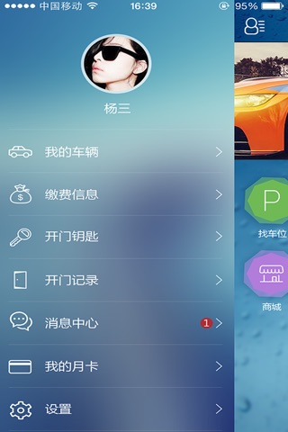 车停这 screenshot 2