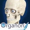 3D Organon Anatomy - Skeleton, Bones, and Ligaments - iPadアプリ