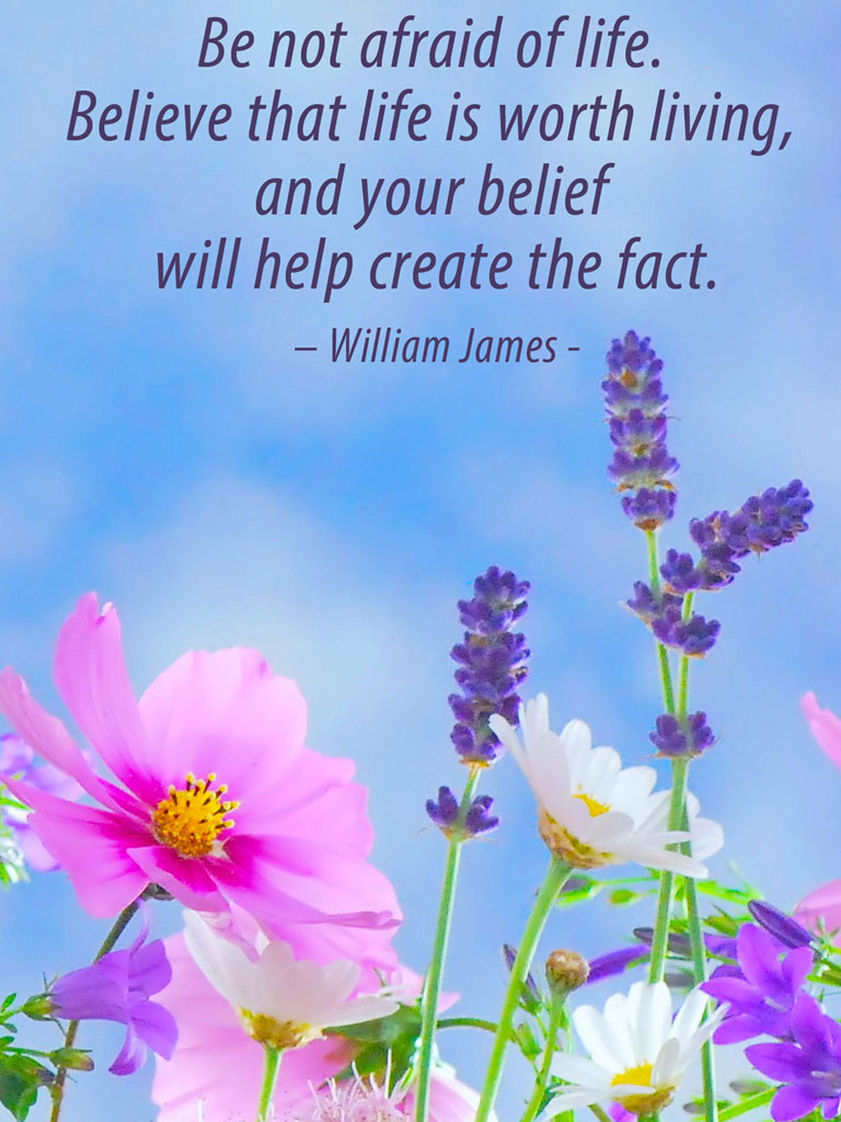 Wise Picture Quotes - Wallpapers with Life Lessons & Saying Images