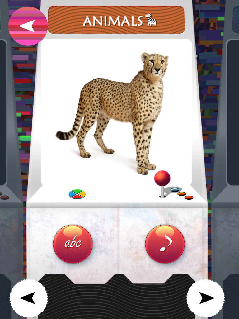 TOY - ZOO Animals And Birds Flash Cards - Free PreSchool Educational Learning Games For Toddlers And Kindergarten Babies screenshot 5