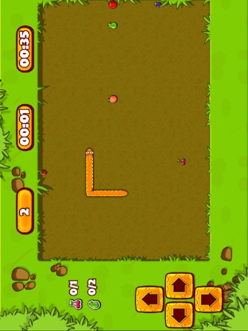 Snake Slither Puzzle iPad screenshot