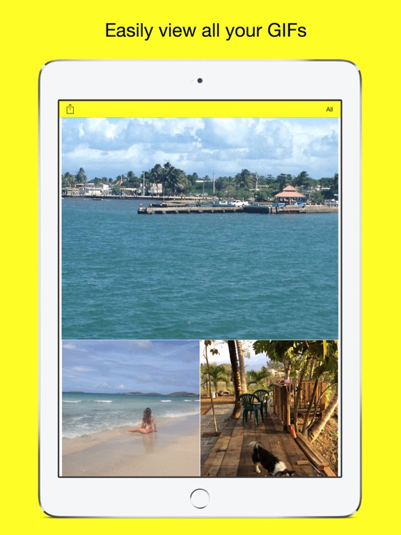 Screenshot #4 pour GIFs Viewer