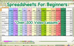 spreadsheets for beginners iphone resimleri 1