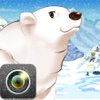 Polar Bear Prank Pro