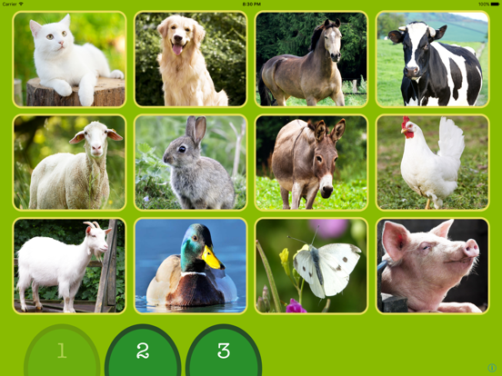 Screenshot #5 pour ASL Animals