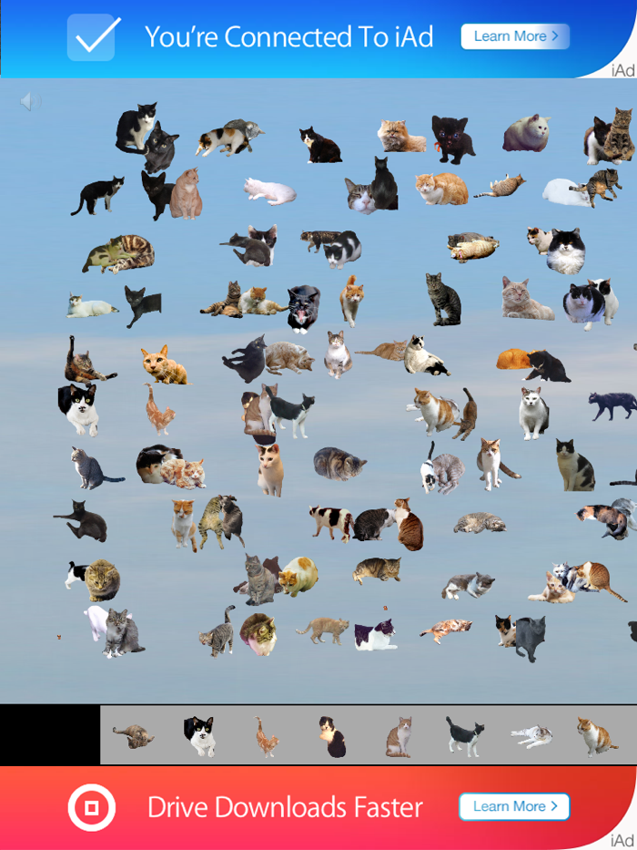 Find 101 Cats