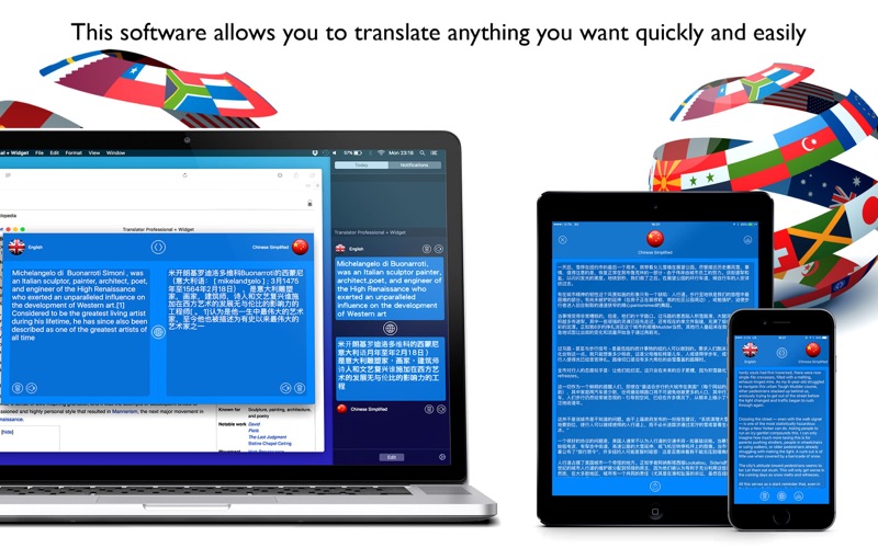 translator professional+widget iphone screenshot 3