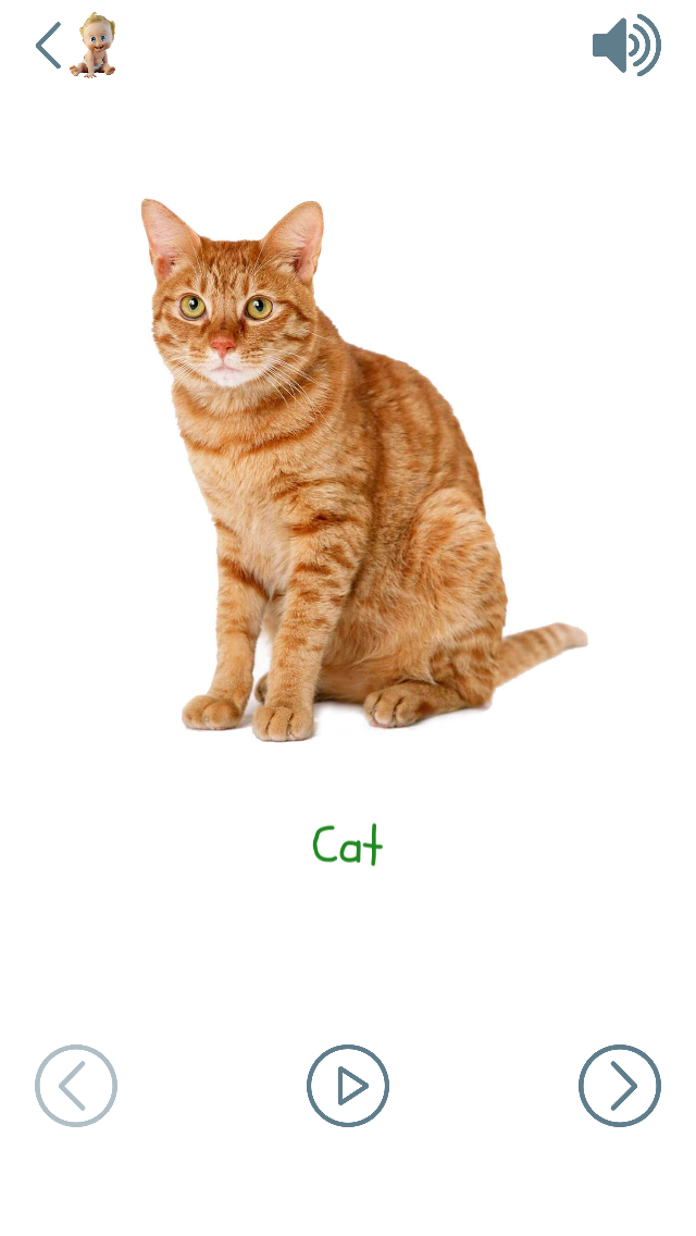 Baby First Words 12 Months