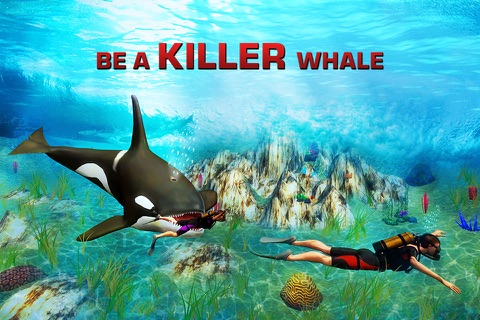 Killer Whale Simulator 3D – An Orca simulation game screenshot 2
