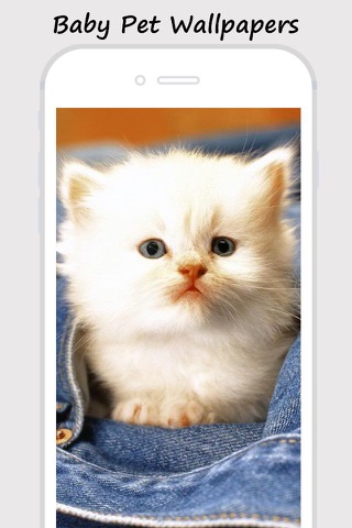 Baby Pet Wallpapers - Collections Of Baby Animals Pictures screenshot 3