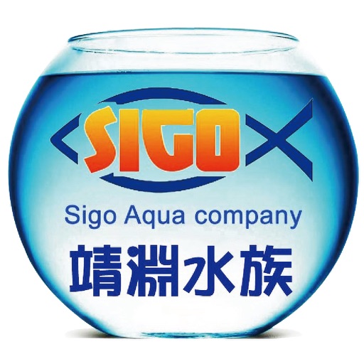 Sigo 靖淵水族