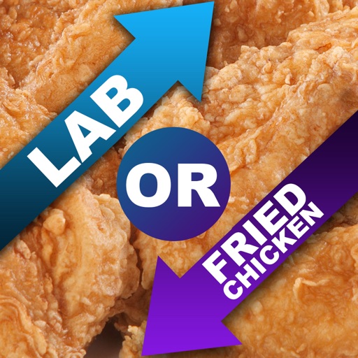 Lab Or Fried Chicken iOS App