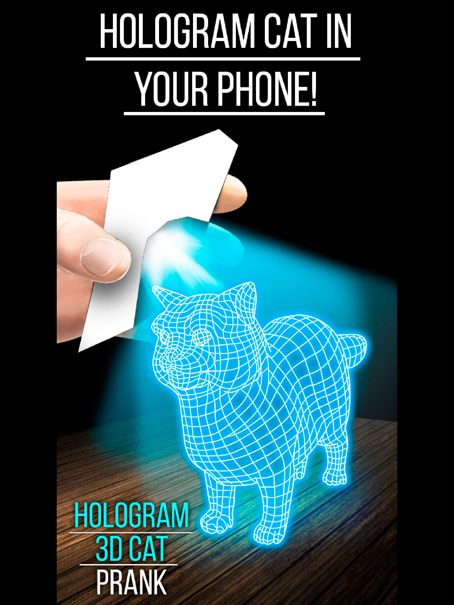 Hologram 3D Cat Prank