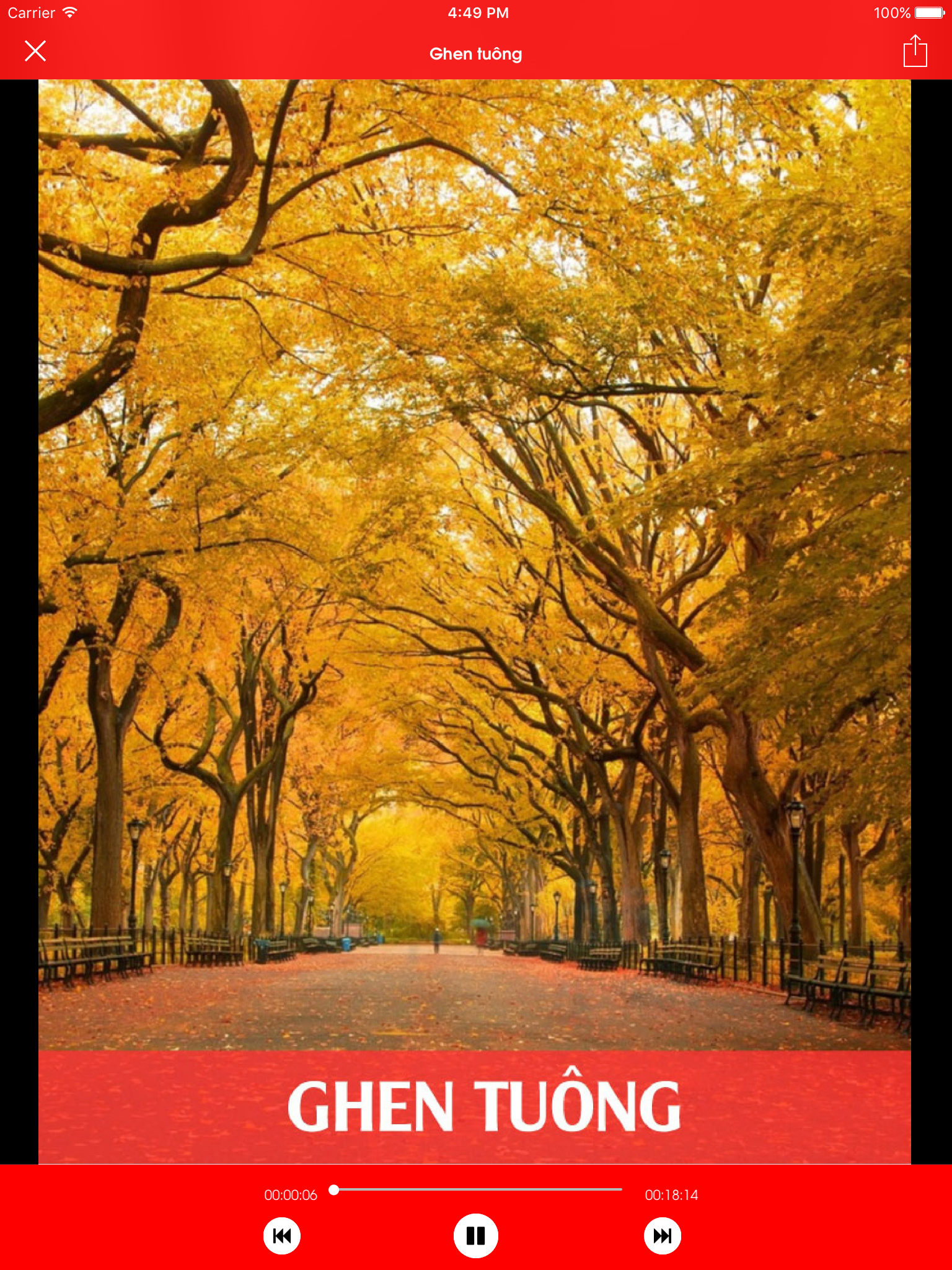 Hiểu về trái tim