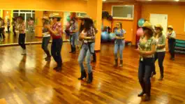 Game screenshot Teach Yourself Line Dancing hack