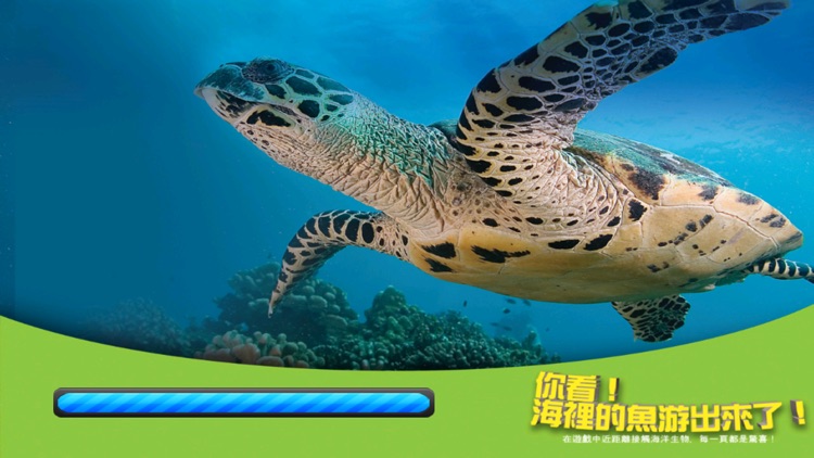 ARCOCEAN - ARC OCEAN