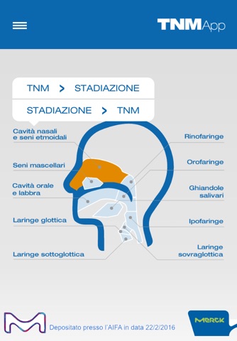 Testa&Collo TNM screenshot 3