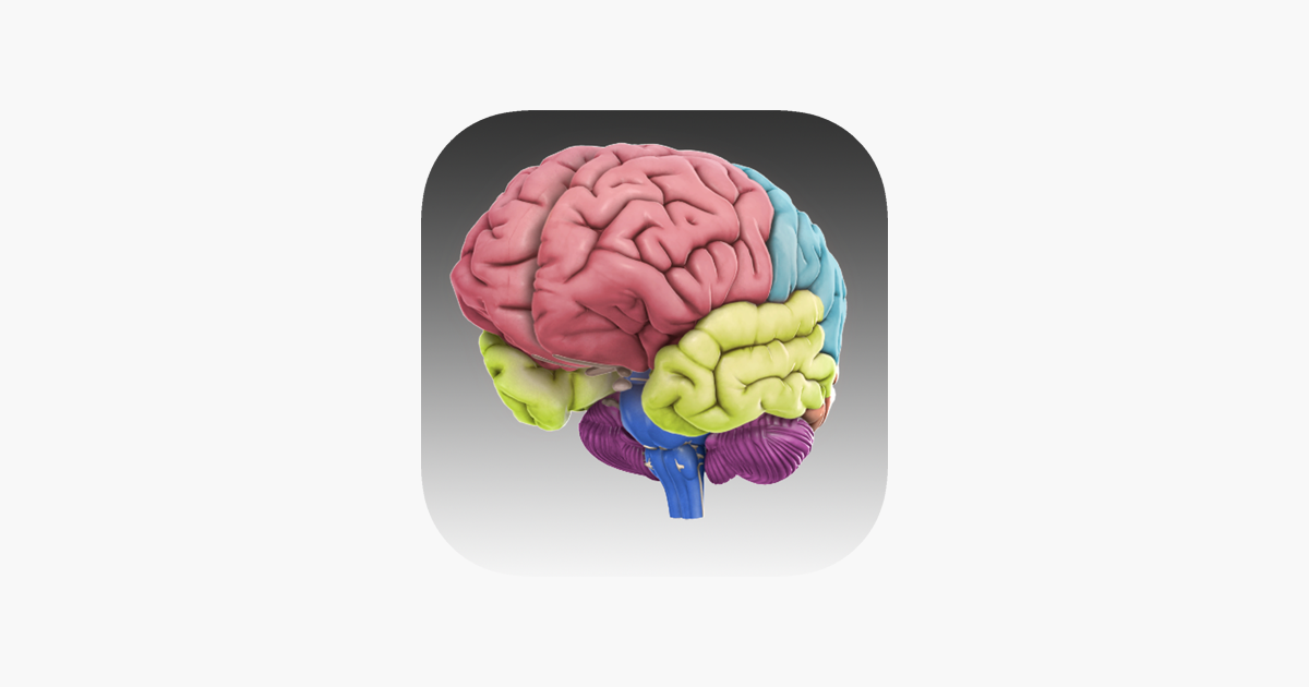 Интерактивный мозг. Мозг 3д Минимализм. 3д мозг психология.
