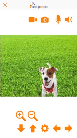 Pet-Peeps(圖2)-速報App
