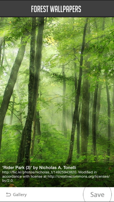 Screenshot #2 pour Forest Wallpapers