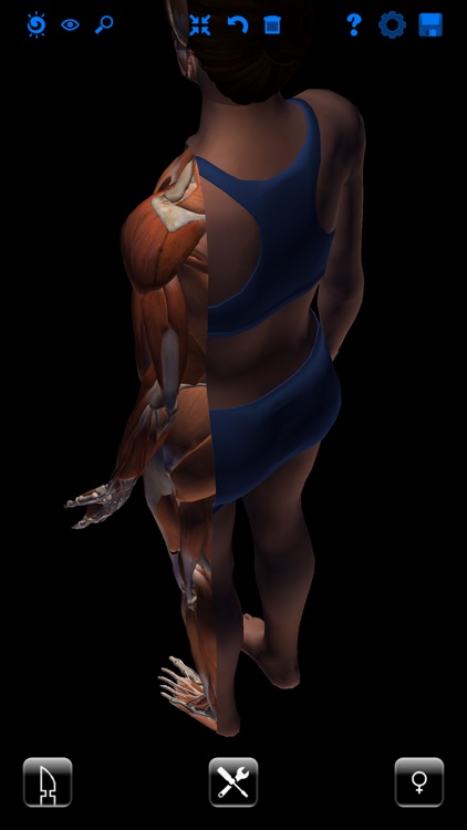 Zygote 3D Anatomy Atlas & Dissection Lab screenshot-3