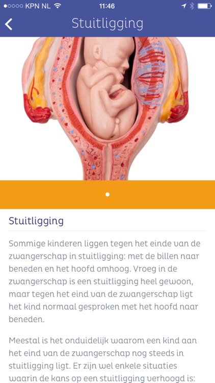 ZwApp - unieke zwangeren app!