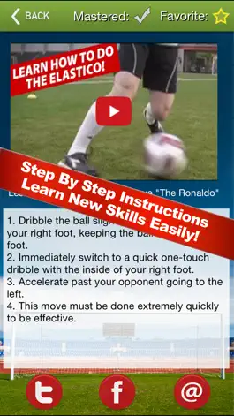 Game screenshot Vogel Soccer Mastery hack