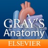 Gray’s Anatomy for Students for iPad