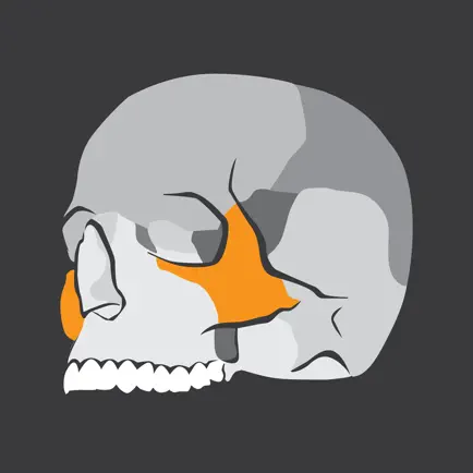 Skull Osteology Cheats