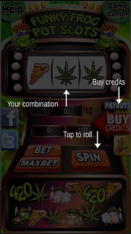 Funky Frog Pot Slots