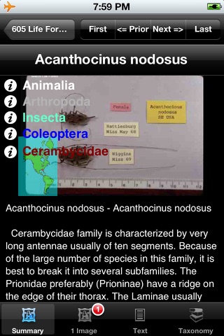 Beetles of the World - Coleoptera - A Beetle App screenshot 4