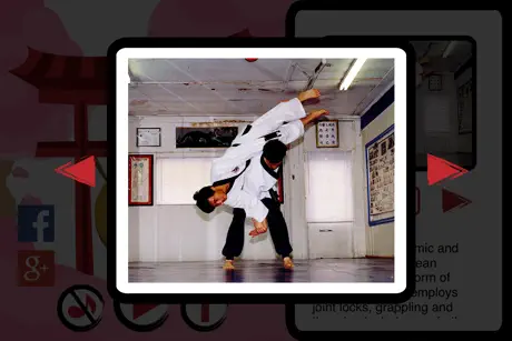 Las mejores artes marciales