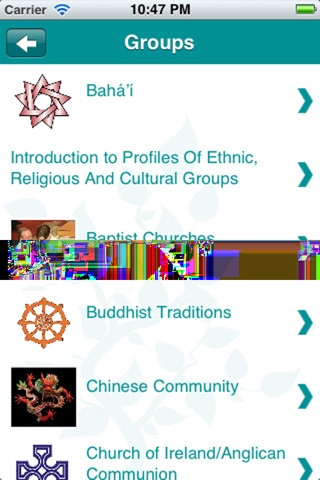 Multilingual Health Aid screenshot 4