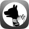 Hand Shadow - game for toddlers and educational games for kids 2 - 3 years