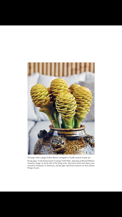 Design Anthology Magazine screenshot-3