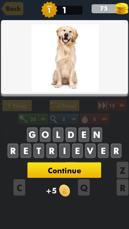 Most Popular Dog Breeds Trivia Quiz ~ American pet training 101 guide for animal lovers screenshot-3