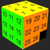 N Cube Puzzle