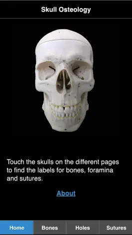 Game screenshot Skull Osteology mod apk