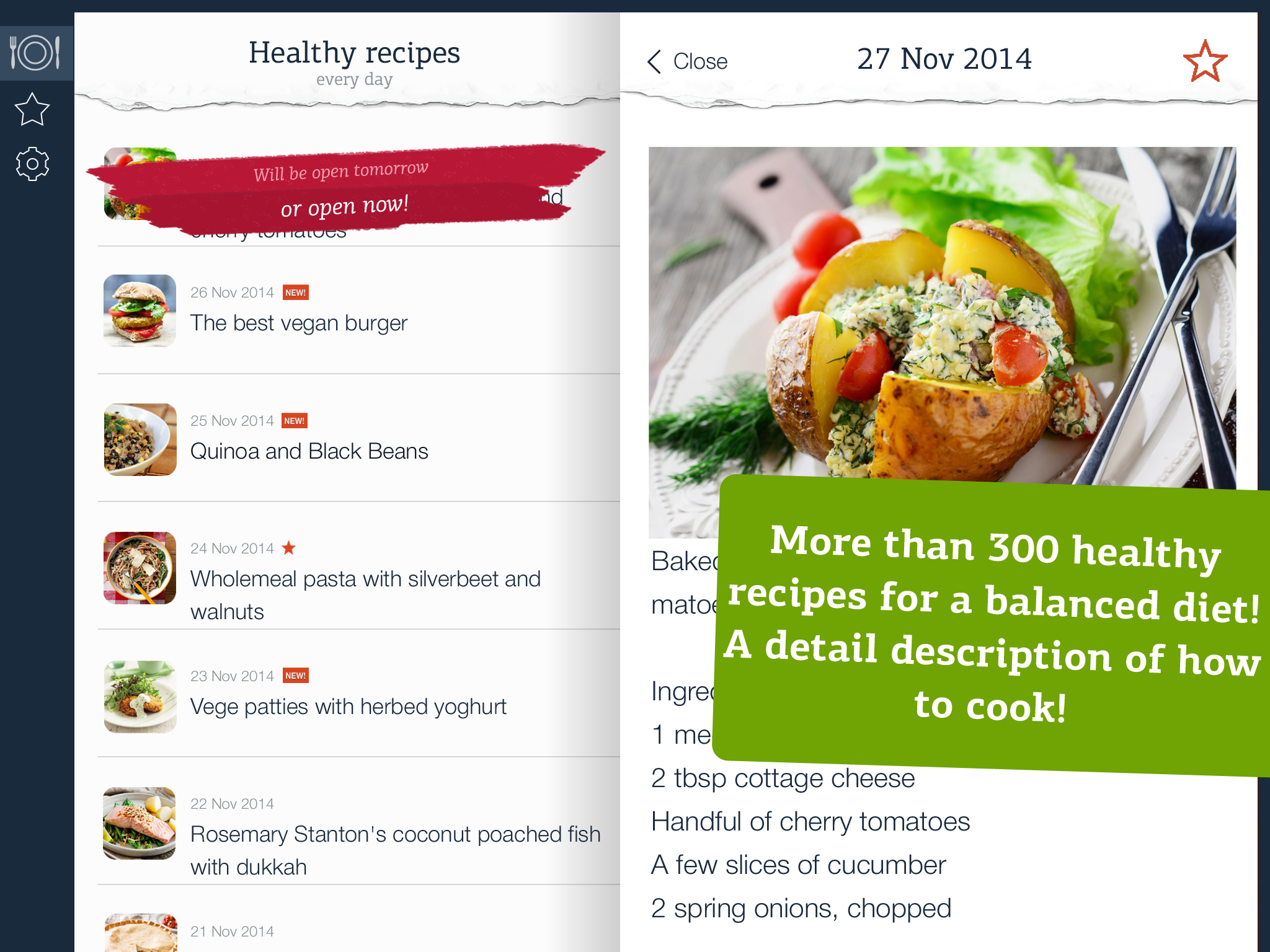 Healthy Recipes - quick and easy meals for a well-balanced diet screenshot 6